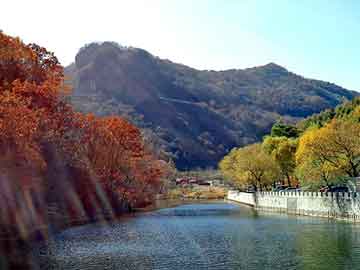 新澳天天开奖资料大全旅游团，印刷厂转让